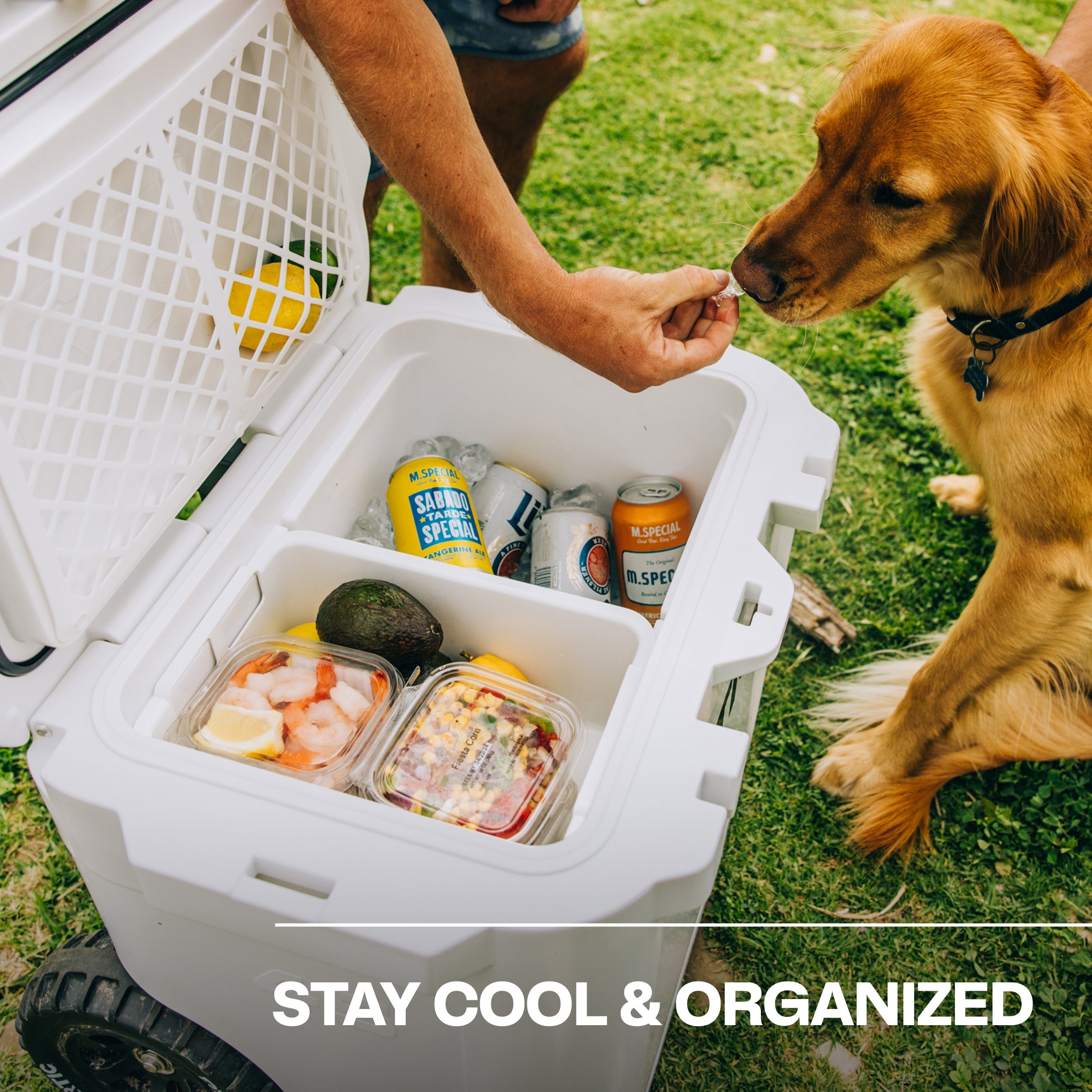 Ultra-Tough Cooler Dry Goods Basket